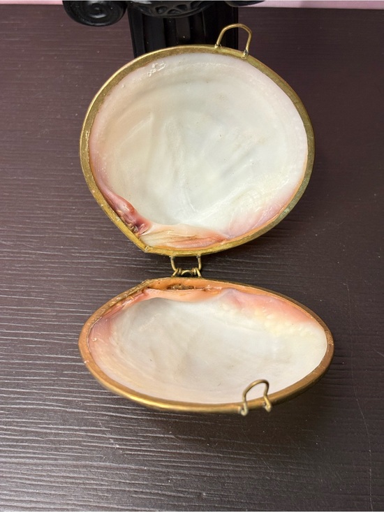 Accessories - Vintage Capriz Mother of Pearl polished shell trinket box brass hinged.  EUC